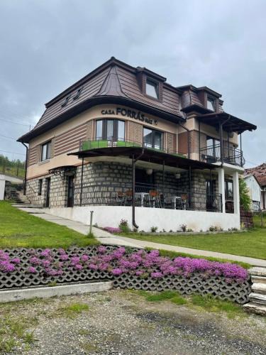 Borsec House | Casa Forrás