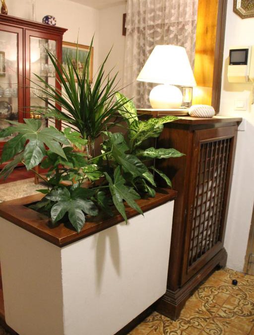 Pagnano Bed & Breakfast | Casa Giò