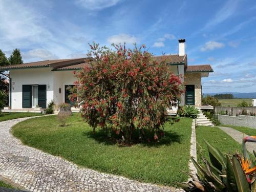 Anadia House | Casa Gorjão