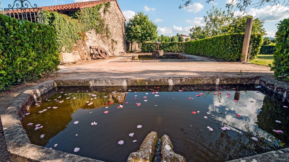 Sober House | Casa Grande de Rosende