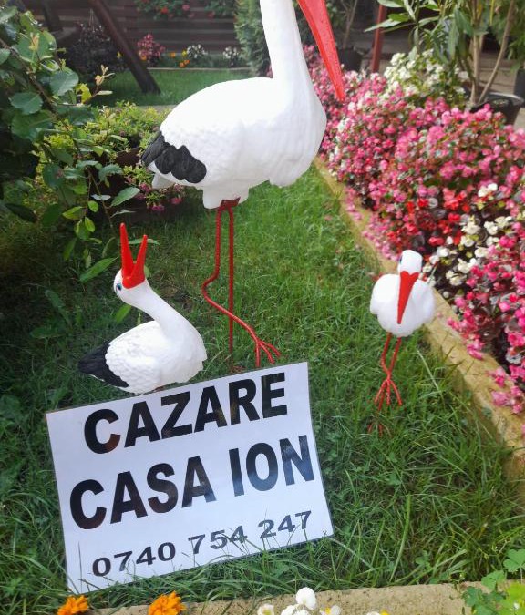 Horezu House | Casa Ion