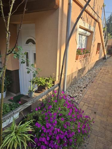 Gyor Apartment | Casa Judit