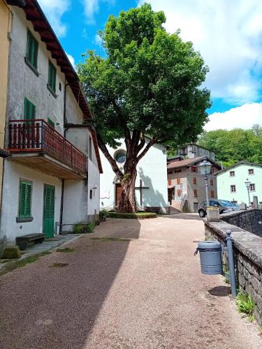 Pian degli Ontani Apartment | Casa l'Acerone