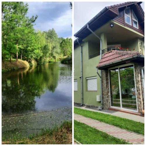 Gura Suhasului House | Casa la Helesteu
