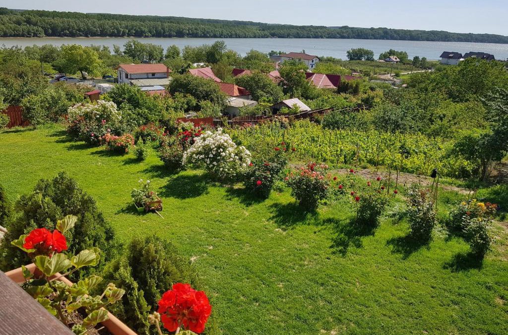 Bestepe House | Casa Lac de Verde
