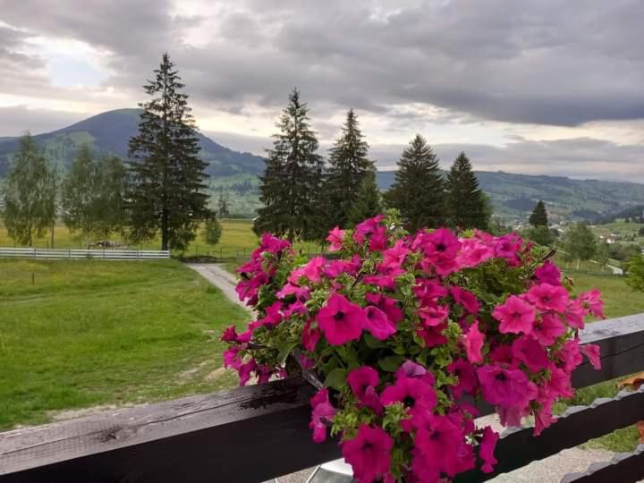 Dorna Candrenilor House | CASA LENA -VATRA DORNEI