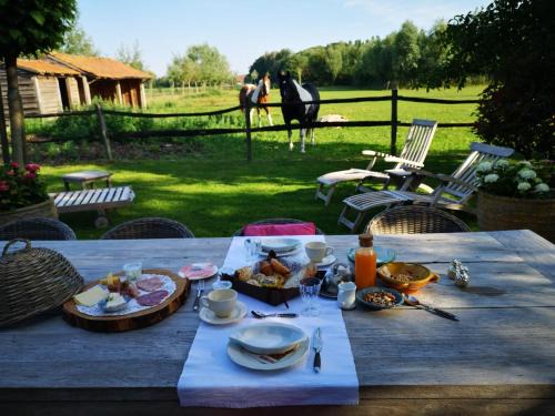 Oostkamp Bed & Breakfast | Casa Leone near Bruges with jacuzzi & parking