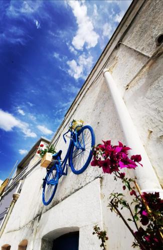 Canosa di Puglia House | Casa Levante