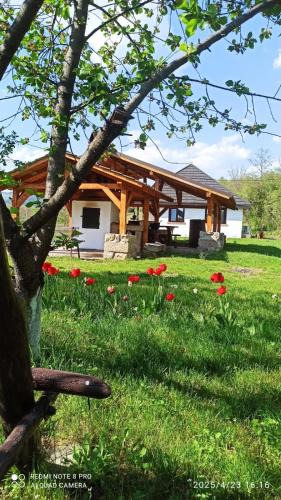 Tirgu Ocna House | Casa Livada Bunicii