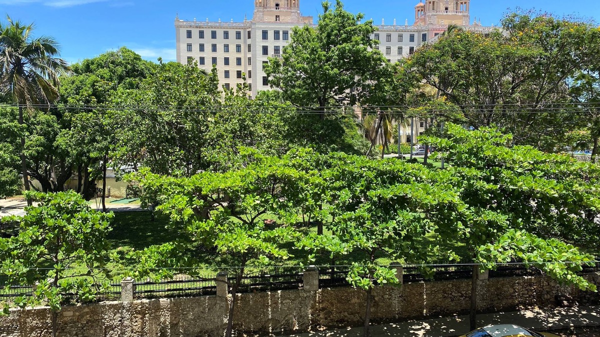 El Vedado House | Casa Manuel y Aracely