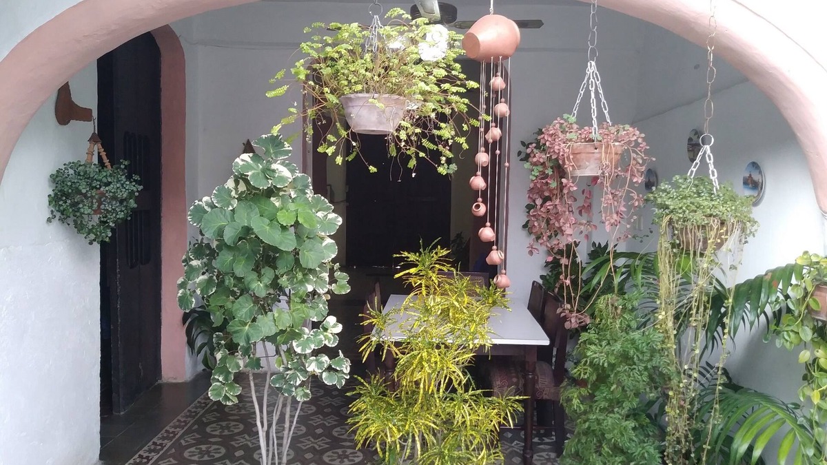Camaguey House | Casa Maria y David