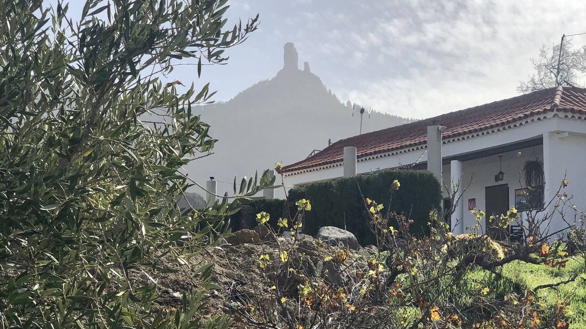 Tejeda House | Casa Mirador de Tejeda