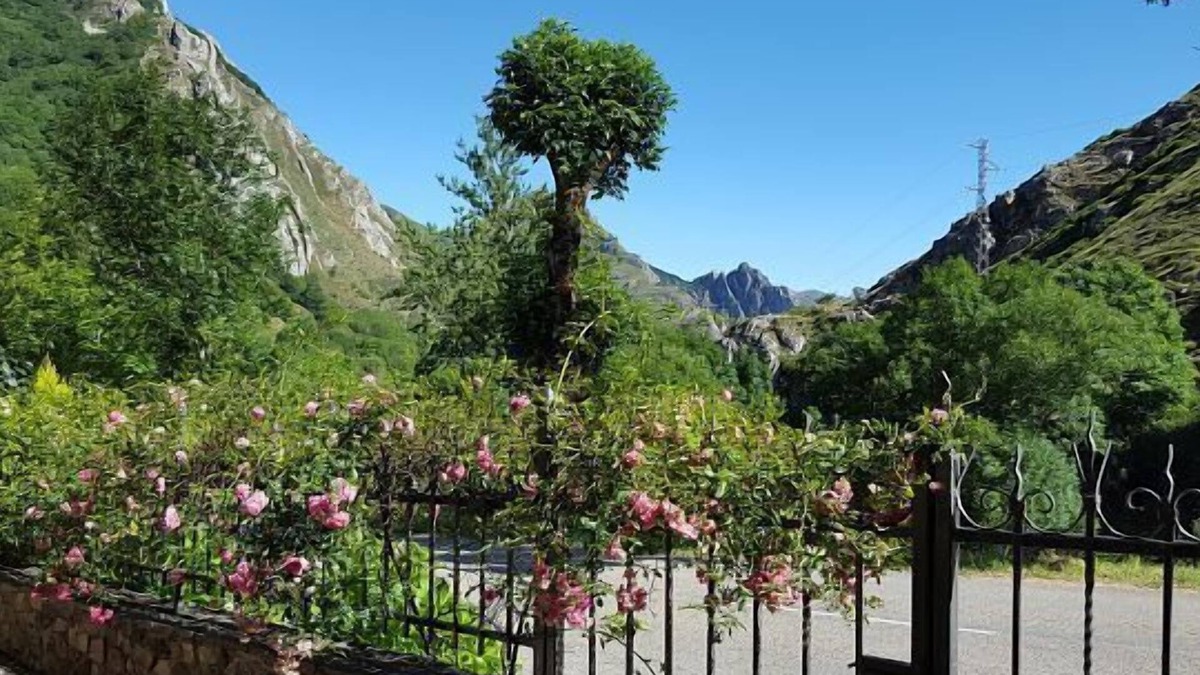 Caunedo Cottage | Casa Modesta Apartments for 2 people