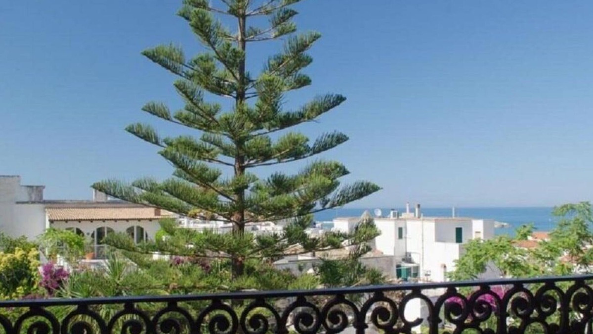 Vieste House | Casa Nicolai