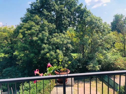 Besozzo Apartment | Casa Nonna Elide 2