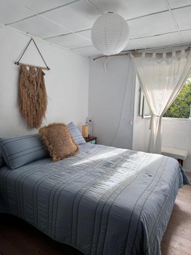 Manon House | Casa O Coto