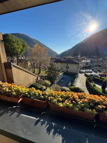 Barni Apartment | Casa Oliva Little Nest