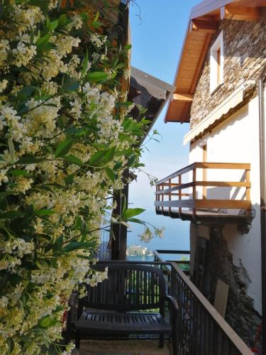 Someraro House | Casa Orfea