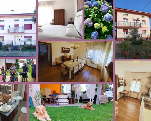 Coderno House | Casa Ortensia