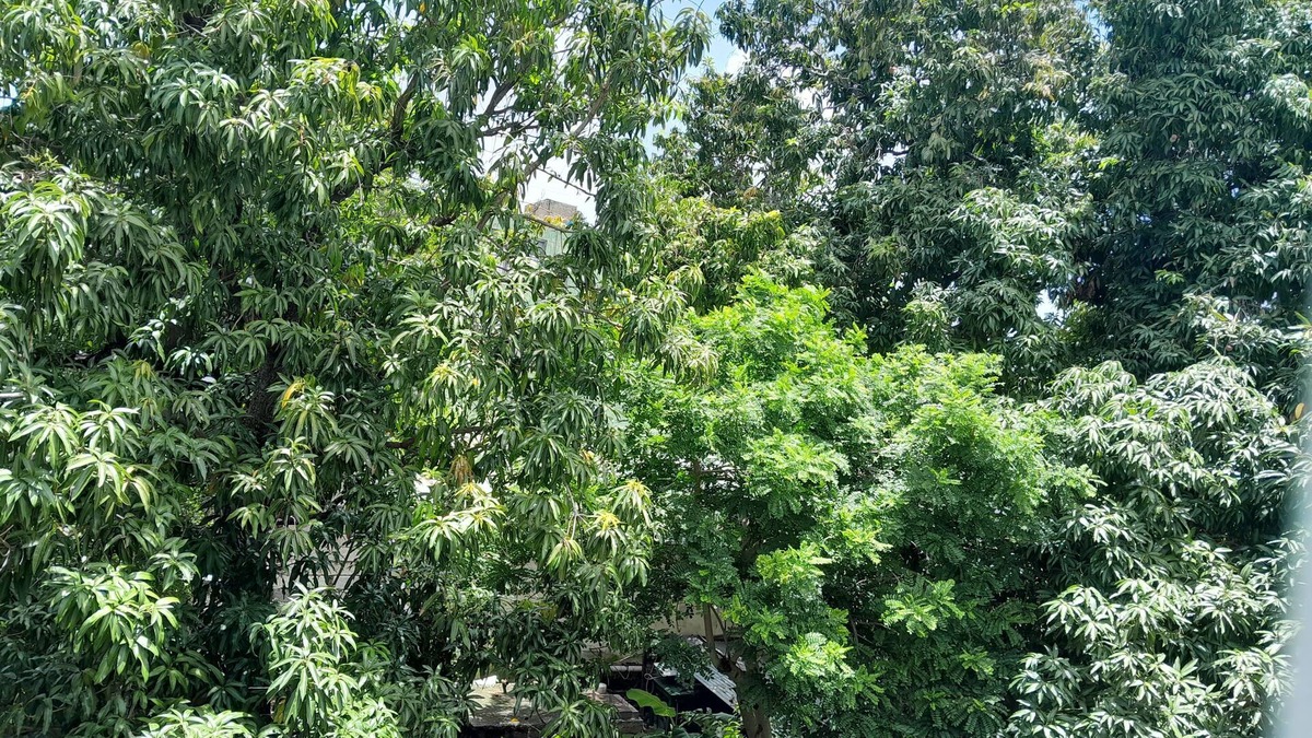 Holguin Bed & Breakfast | Casa Oscar