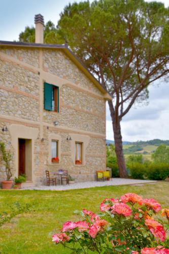 Bibbona House | Casa Patrizia