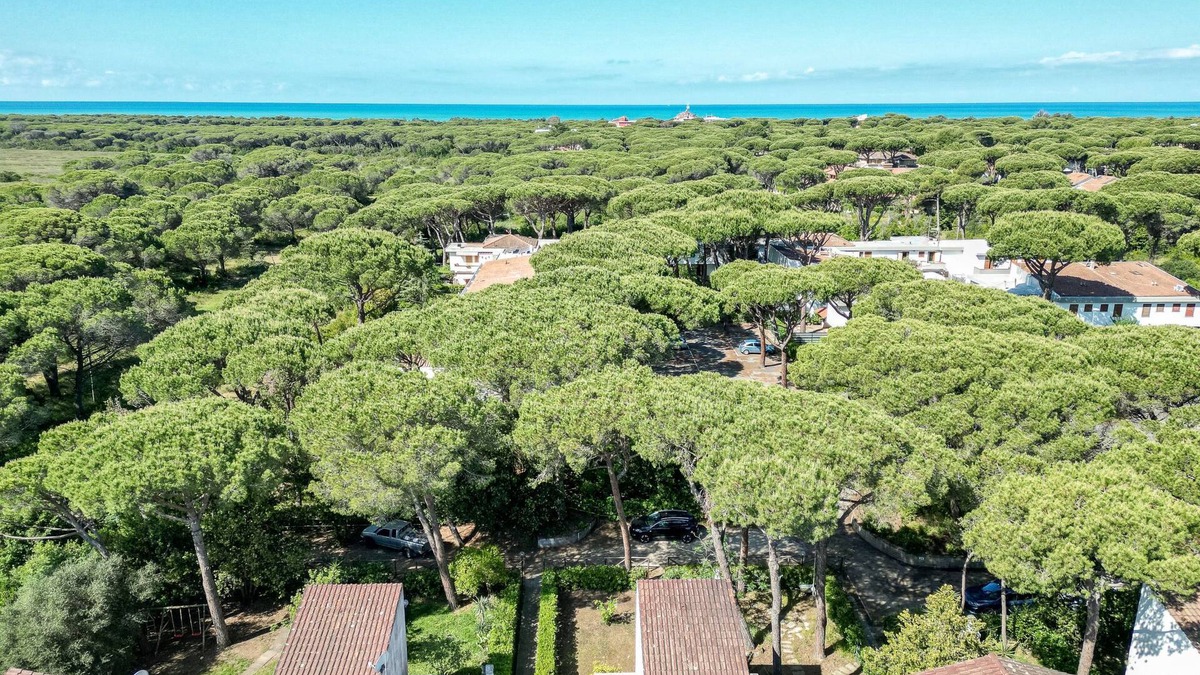 Principina a Mare House | Casa Polipo by Interhome