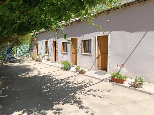 Vicuna House | Casa Rivera