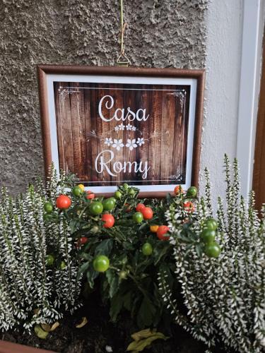 Rovere della Luna Apartment | Casa Romy