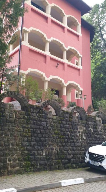Baile Olanesti House | Casa Rosa