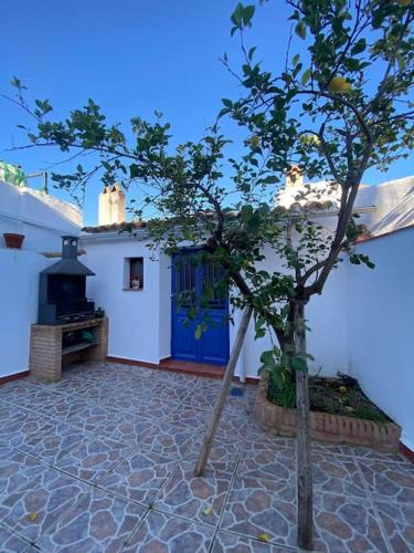 Encinasola House | Casa Rosalía