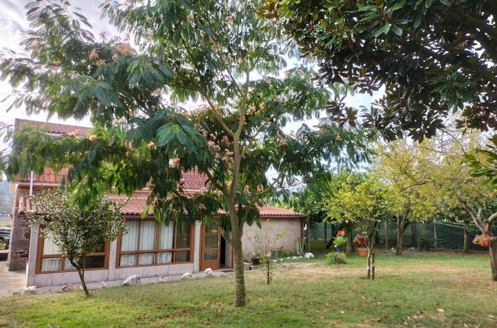 Pontevea House | Casa Rural A Telleira