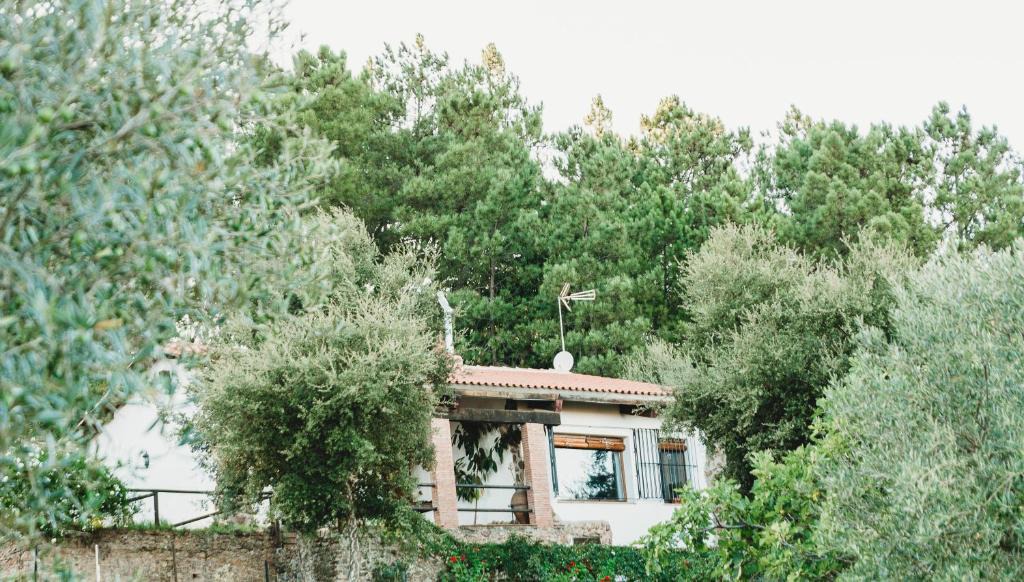 Monesterio House | Casa Rural El Zumacal