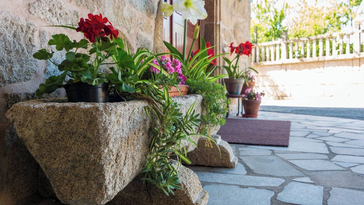 Carcacia House | Casa Rural en Padrón, Ideal Para Familias o Amigos