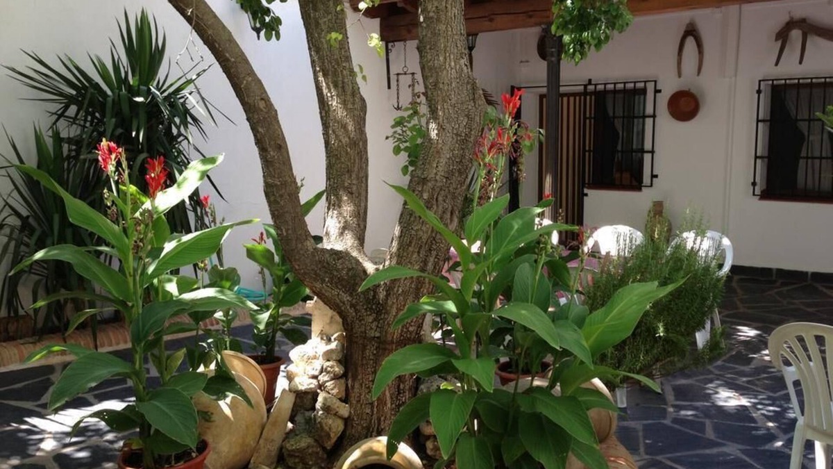 Villa de Don Fadrique House | Casa Rural el Rincon del Infante