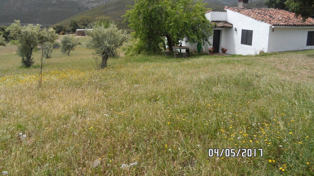 Canamero House | Casa Rural La Jara con vistas a la montaña