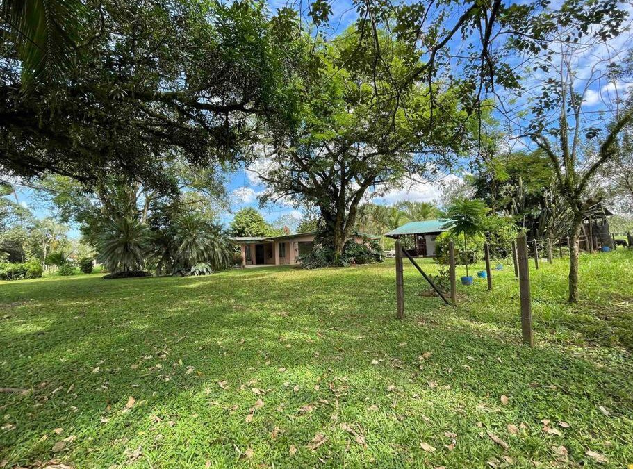 La Palmeria House | Casa San Andrés, Muelle - San Carlos