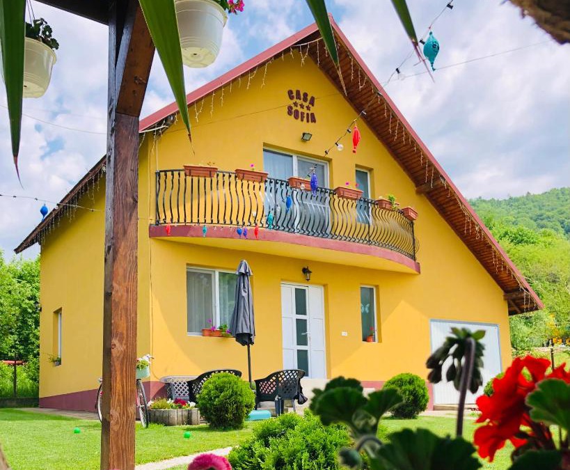 Calimanesti Villa | Casa Sofia