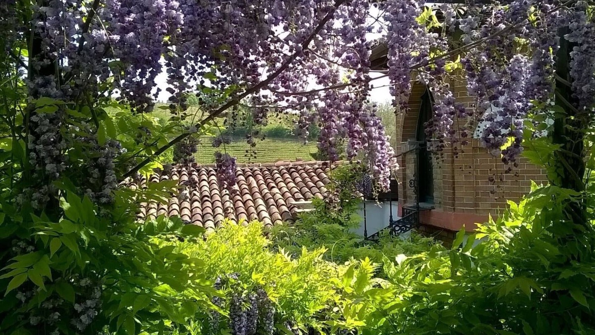Asti Cottage | Casa Sonny: cottage in magical garden 3km from the historic center of Asti