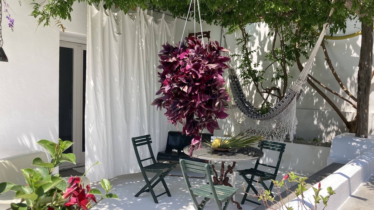 Procida House | Casa sul Mare con Giardino Sulla Suggestiva Punta Solchiaro