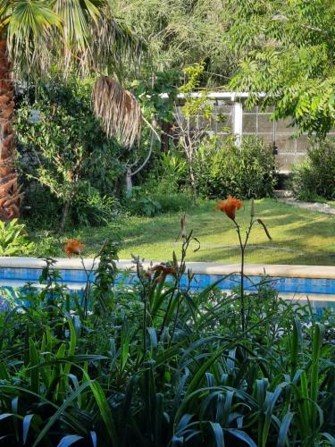 El Talar Villa | Casa Sustentable Mint Fields