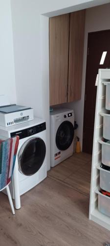 Sfantu Gheorghe Apartment | Casa Tasi