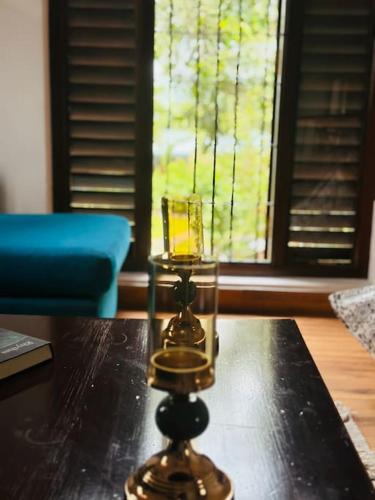Peliyagoda House | Casa Theo