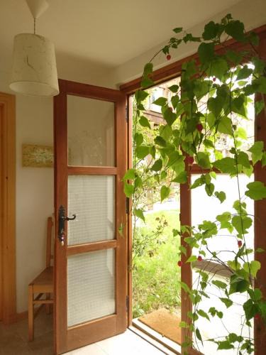 Anso Apartment | Casa Turreta