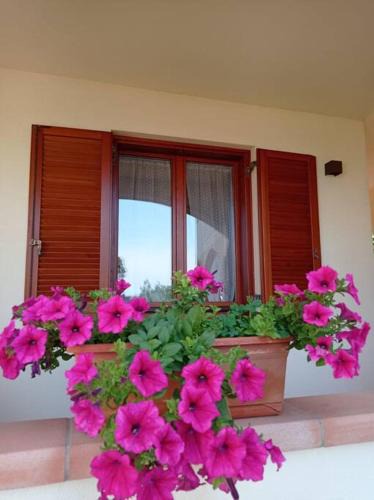 San Vincenzo Apartment | casa vacanze Lavanda