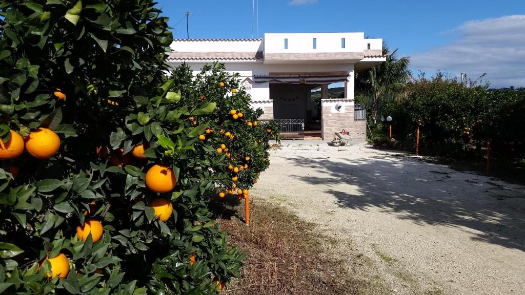 Sciacca House | Casa Vacanze Pino - Sciacca - Casa di campagna