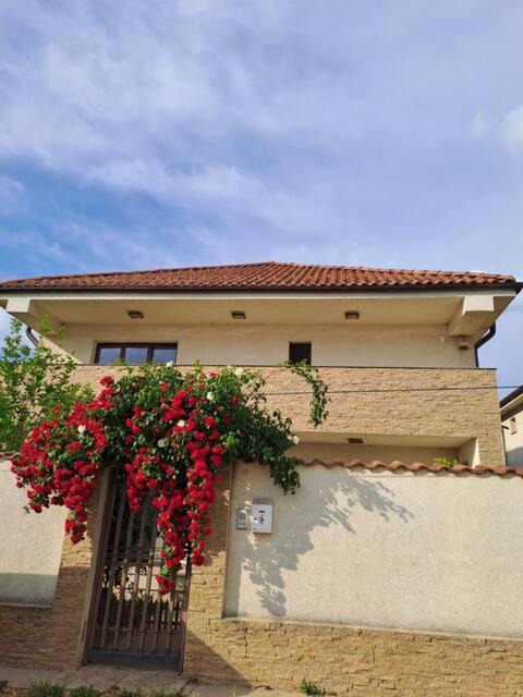 Pantelimon Villa | Casa verde 2