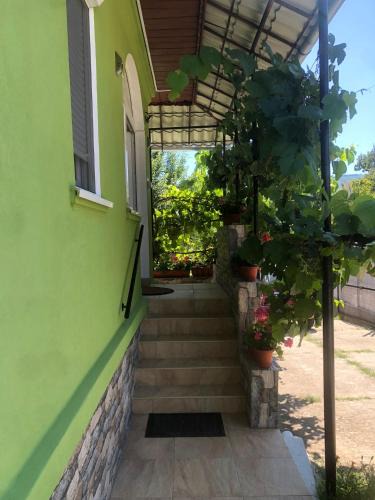 Vata de Jos House | Casa Verde