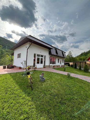 Nehoiu House | Casa Vio