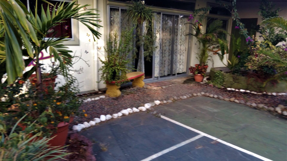 San Isidro de Grecia Apartment | Casa Yayaz - rainforest lodge in the mountains