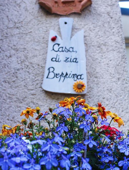 Camaiore House | Casa zia Beppina